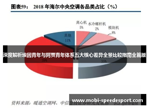 深度解析埃因青年与阿贾青年体系五大核心差异全景比较指南全篇版