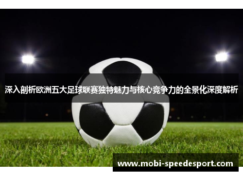 深入剖析欧洲五大足球联赛独特魅力与核心竞争力的全景化深度解析